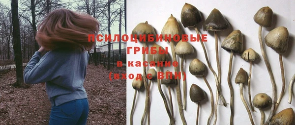 PSILOCYBIN Балахна